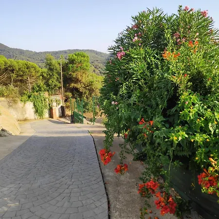 Apartamento Independiente En Plena Naturaleza Barcelona * Vallromanes